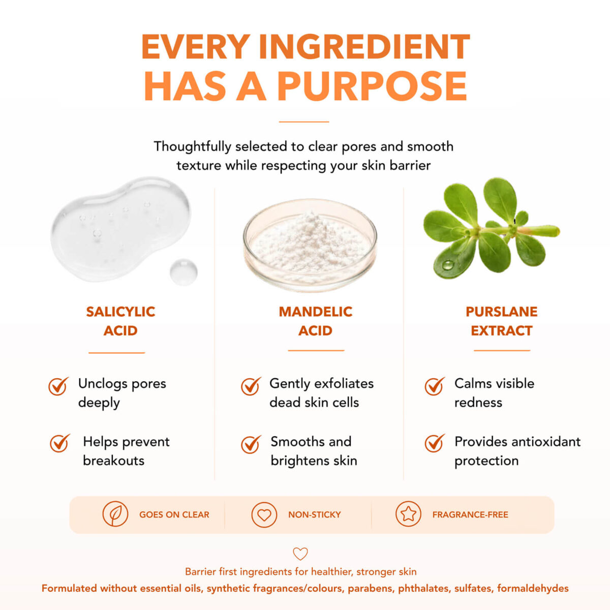 skinlycious-glow-exfoliant-key-ingredients.jpg