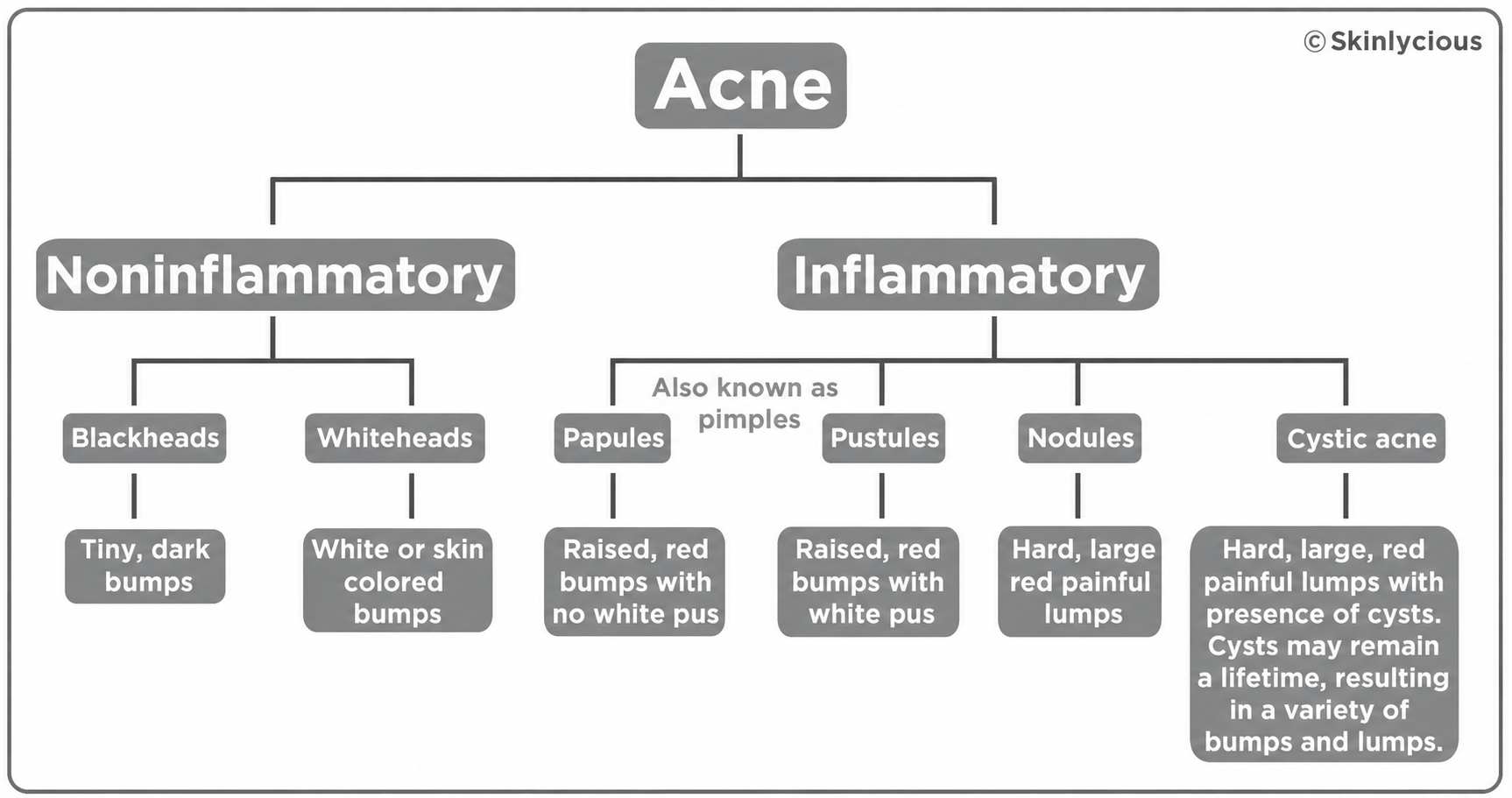 Types of Acne in Word Form