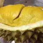 Durian