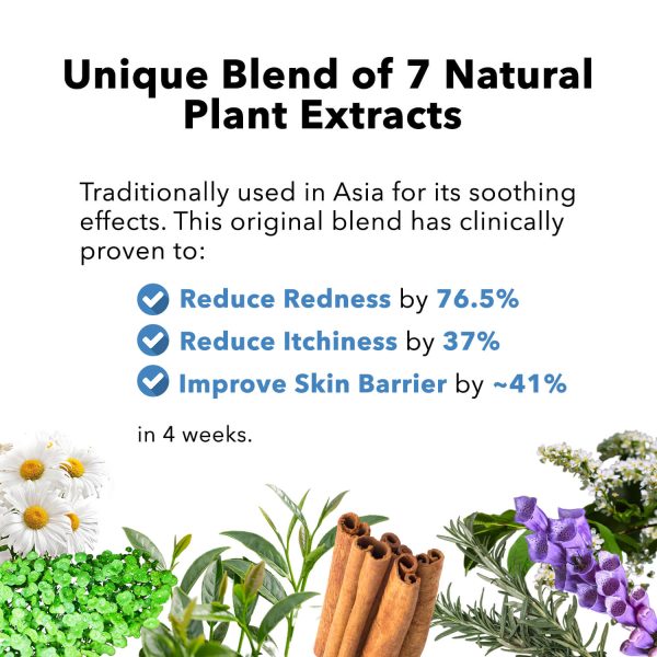 The basic bundle thumb 04