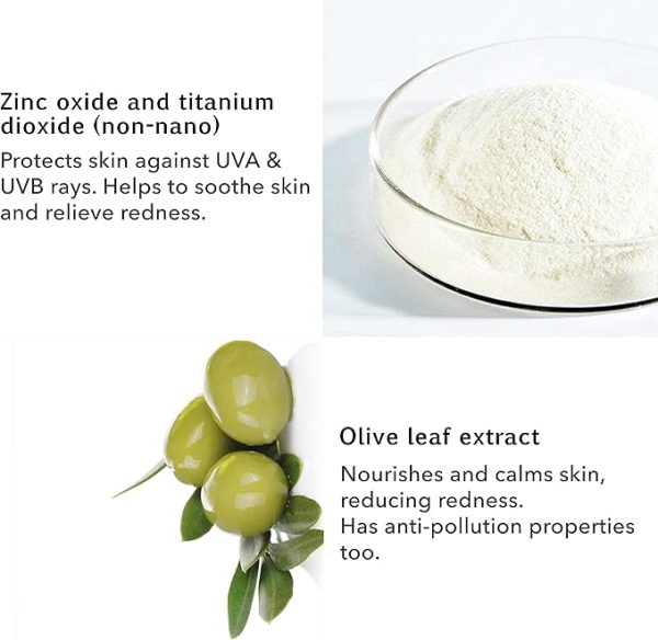 The basic bundle thumb 06