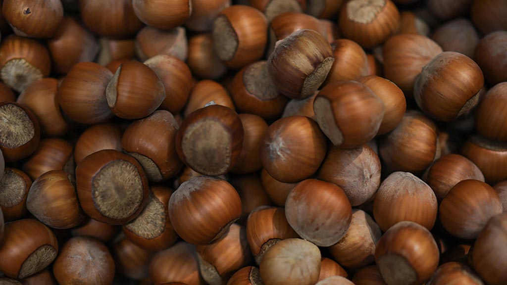 Vitamin E Foods