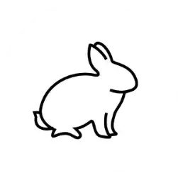 Cruelty free